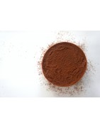 kakao ekologiczne, bio kakao